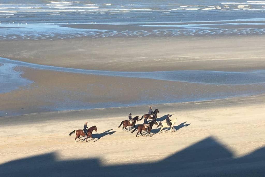 Entre Dunes Et Mer Bray-Dunes Exterior foto